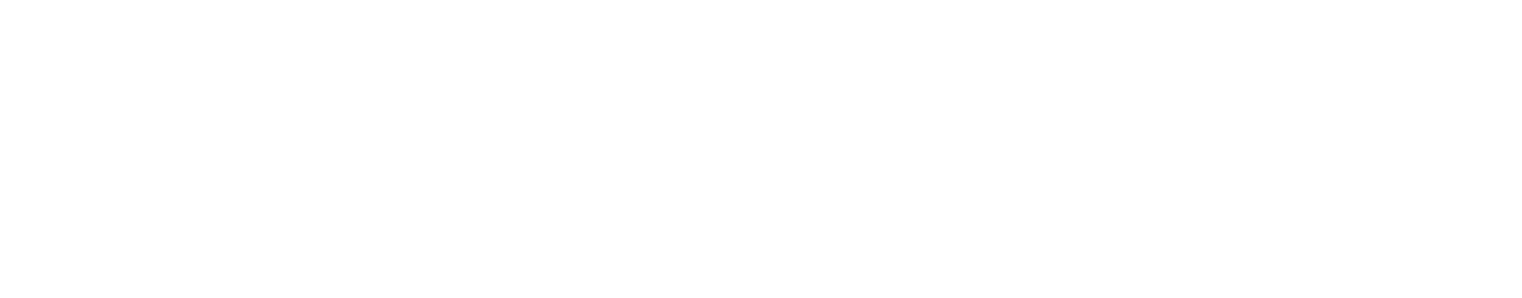 solution-logo-2